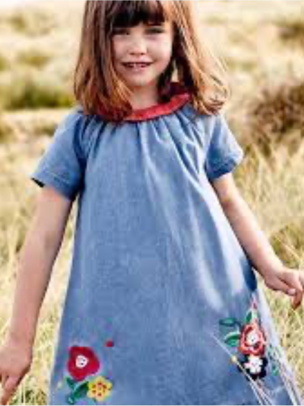 Mini Boden Girls' Blue Floral Appliqué Dress with Red Collar size 8